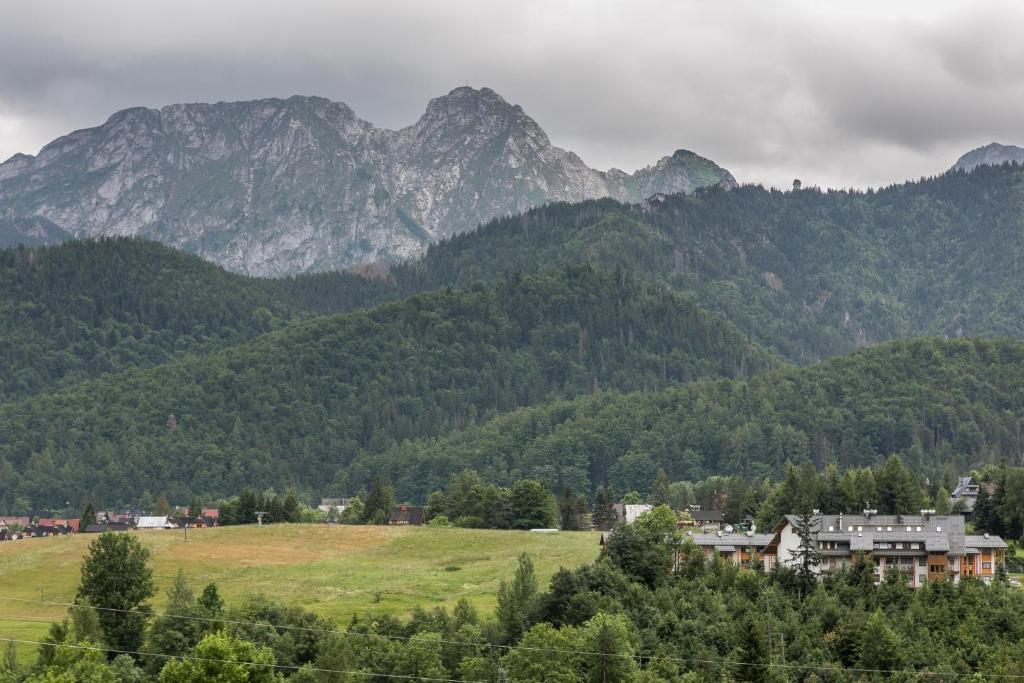White Sheep - LoftAffair, Kościelisko