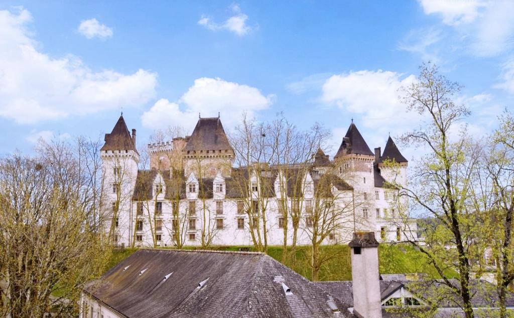 La Vue Royale - Face château - Centre-ville - 4 personnes - 4