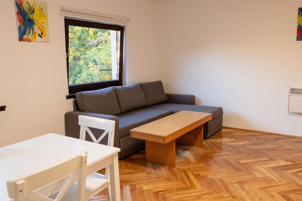 Heart and view of Old Town Sarajevo apartment 3 - 5