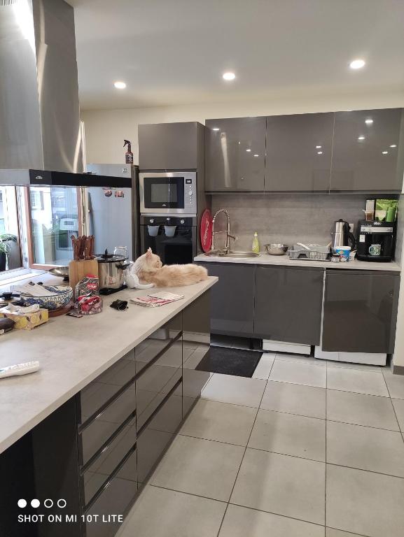 Murat appartement 3 pieces - 3