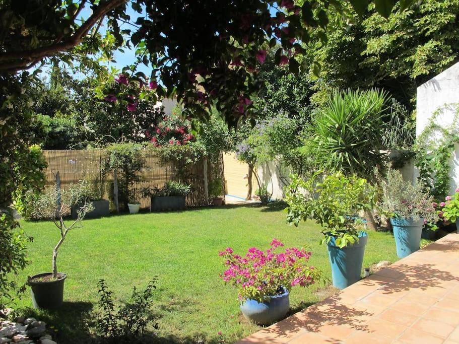 Appartement Nimes avec terrasse ouverte - 4