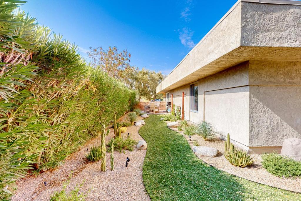 Cactus Path, Palm Springs