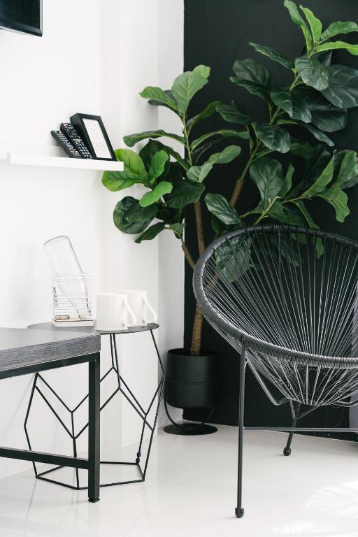 Blu Monkey Phi Phi Island