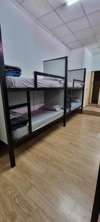 8베드 혼성 도미토리룸 내 침대