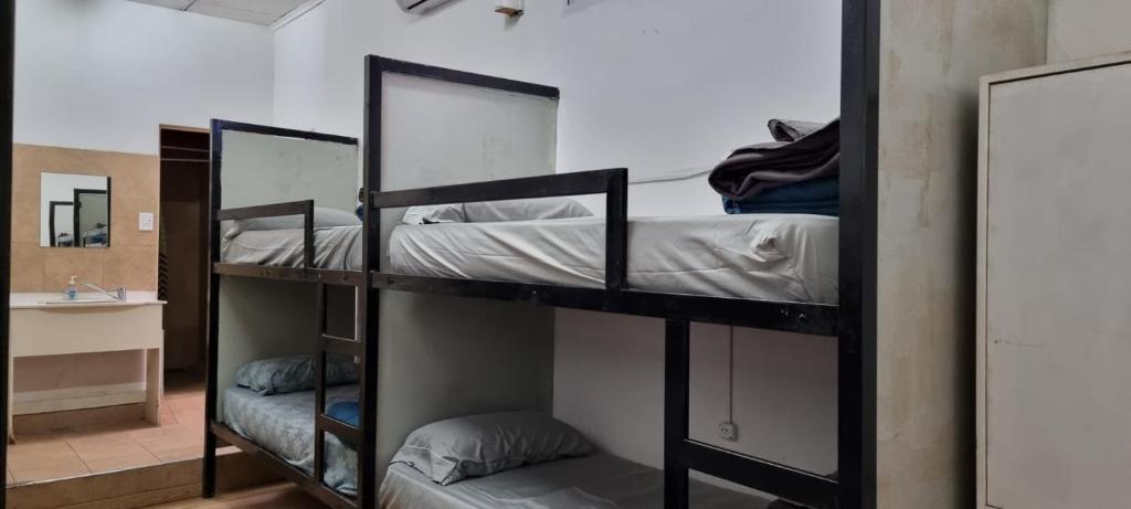 8베드 혼성 도미토리룸 내 침대