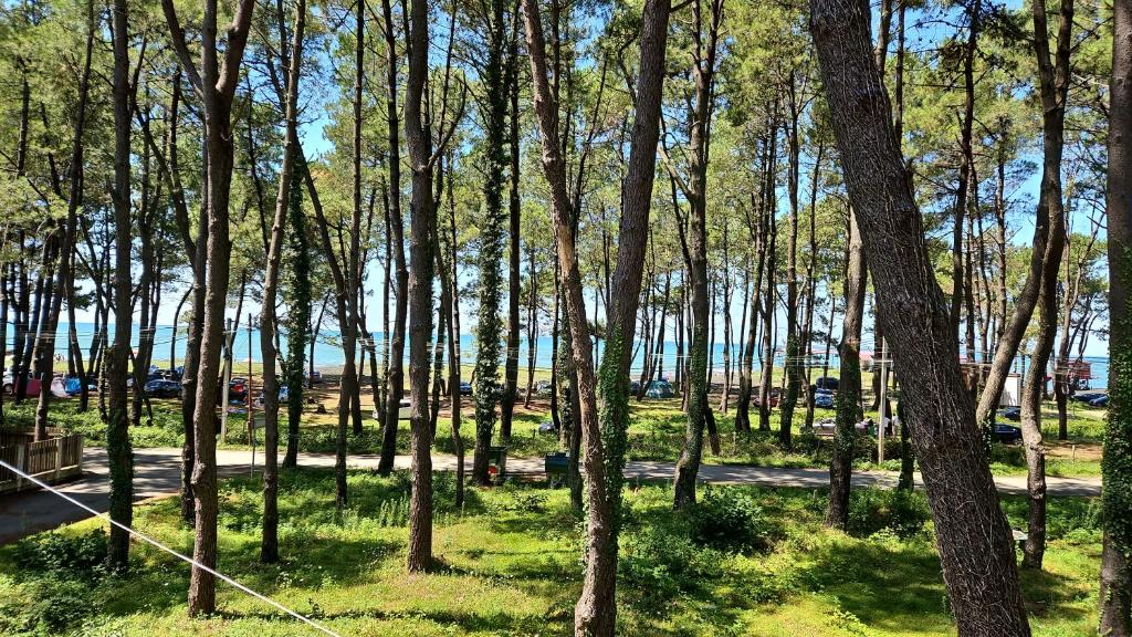 Leto by Sveta, Ureki