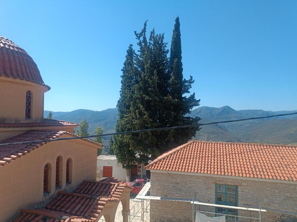 πλατανα Αρκαδίας χωριατικο σπίτι για φυση και ηρεμία, Rounaíika