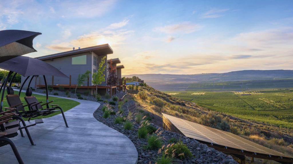 Lone Point Cellars, Brewster