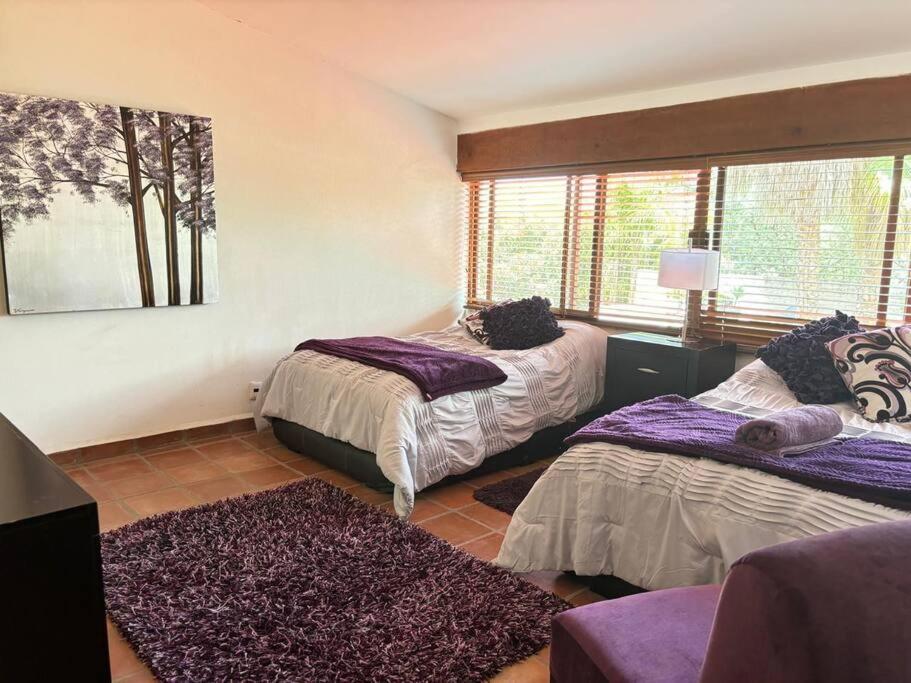 Casa Terracota - 4
