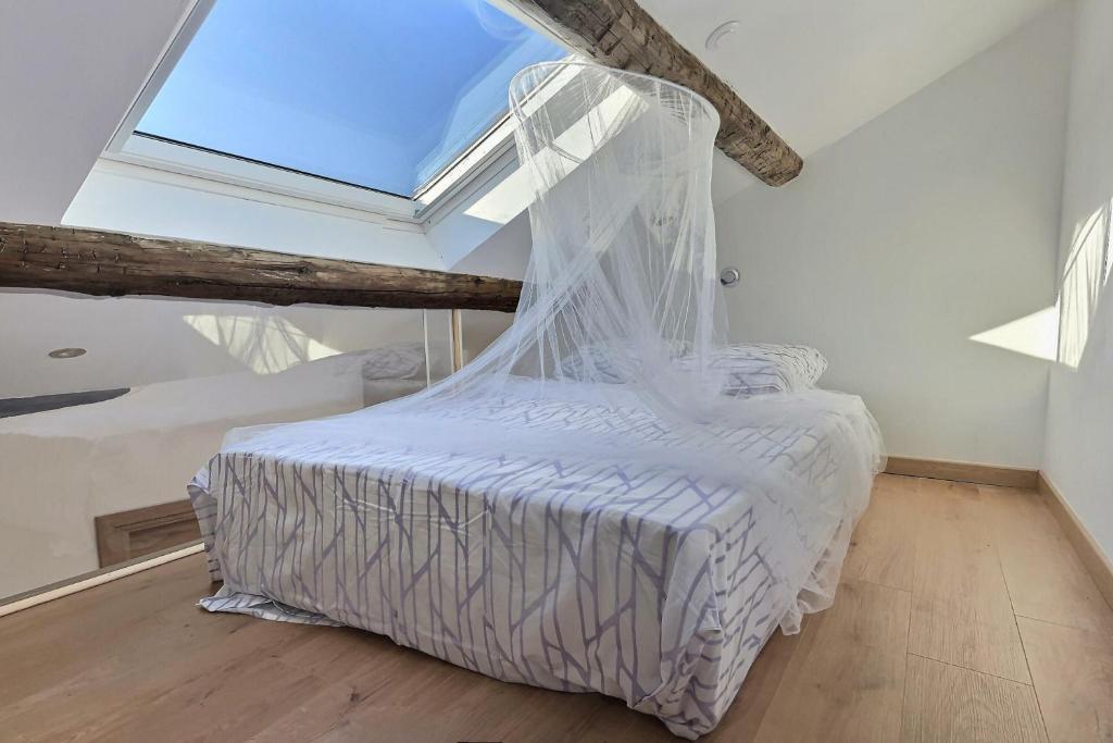 Jungle Loft Béziers centre - 5