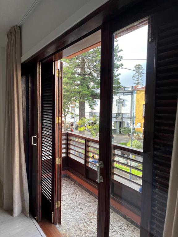 Araucaria3 - 2