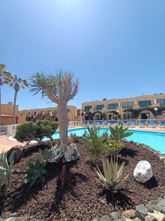 Castillo Mar - 82, Caleta de Fuste