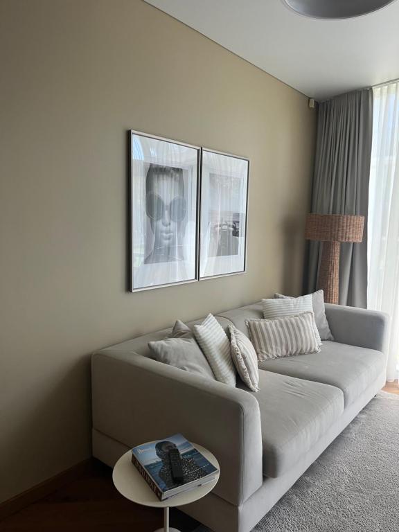 Home in, Druskininkai