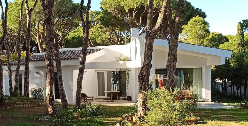 Diseño y luz entre los pinos, Chiclana de la Frontera