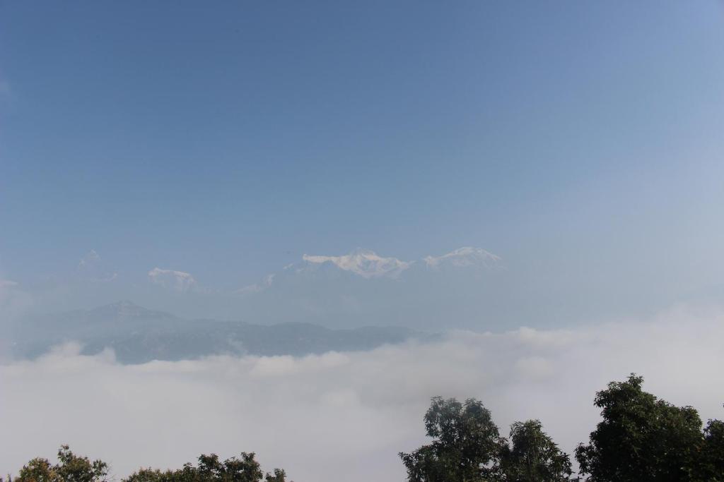 Siddhartha Garden Ayurveda Bed and Breakfast photo