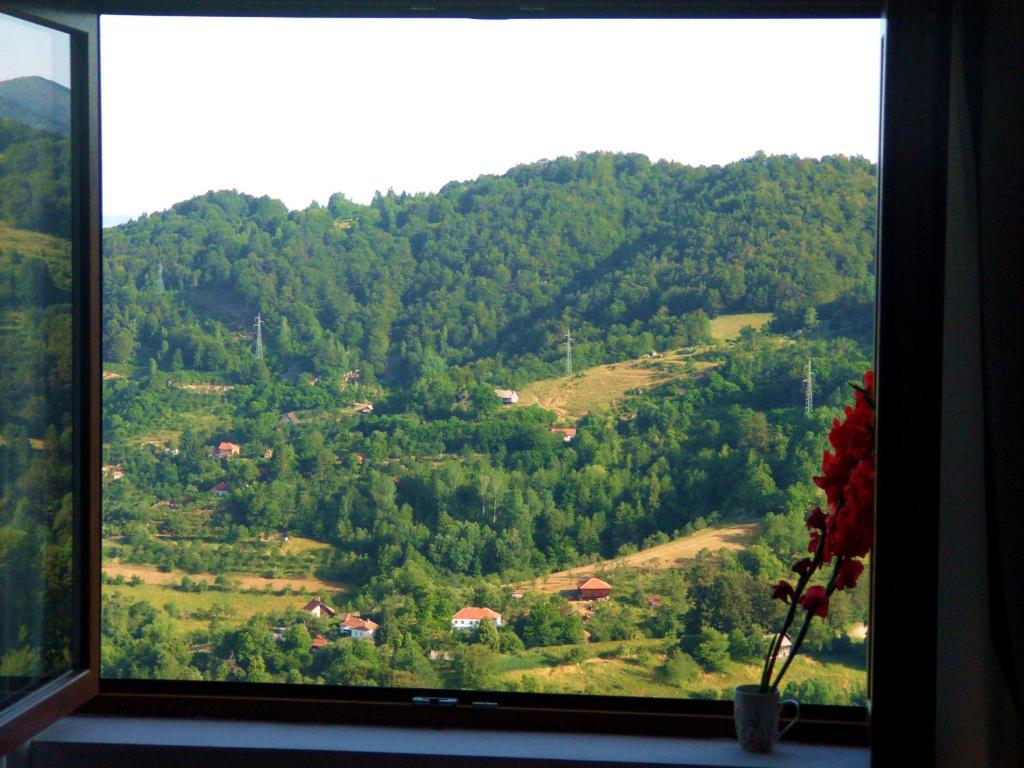 Pavic SPA Milmari L34, Kopaonik