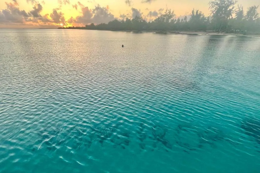Rangiroa Tiny House, hotel in Avatoru