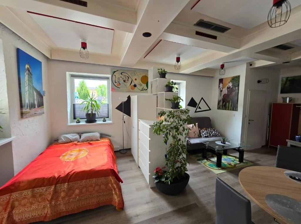 Private Living Central, Dampfdusche - 2