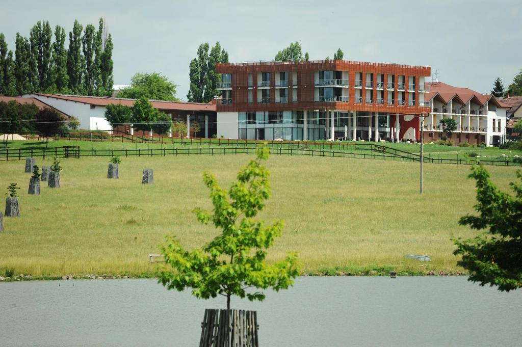 K-Triumf Resort photo
