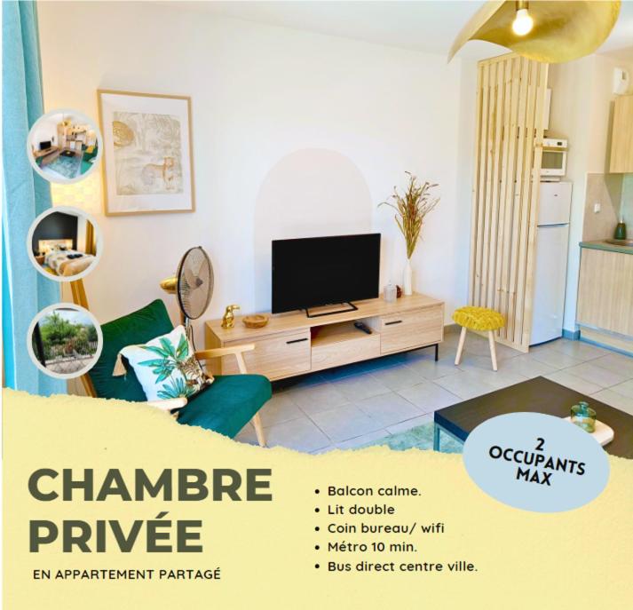 Chambre privée dans appartement partagé avec balcon calme & dégagé - 1