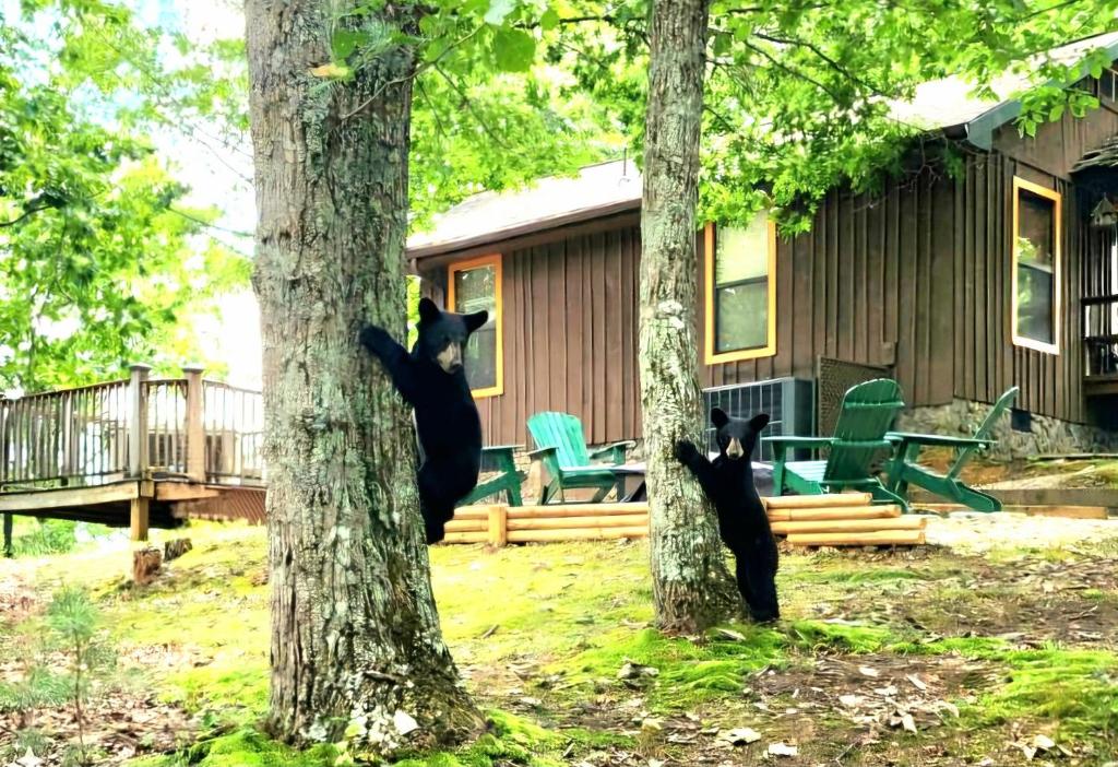 Authentic, Rustic, Cute & Cozy!, Pigeon Forge