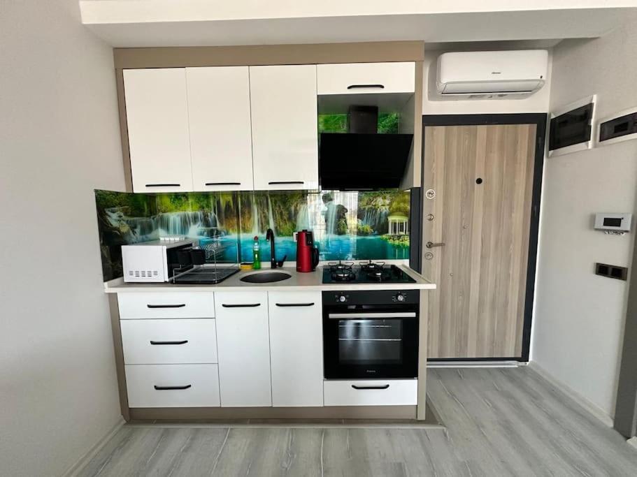 Ảnh 3