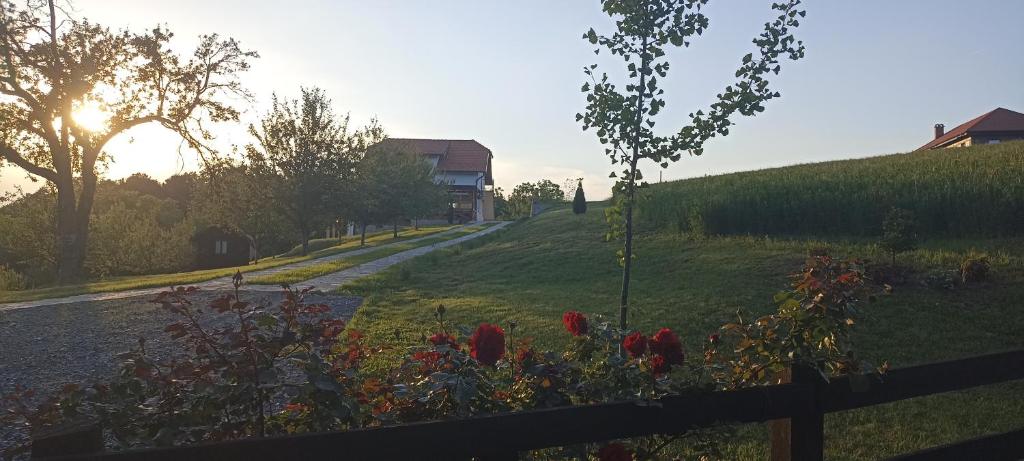 Stari Tršić, Tršić