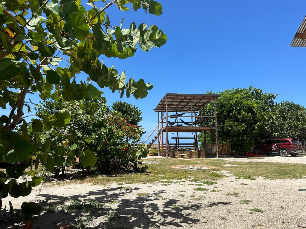 Surrounding environment