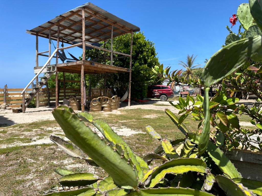 Exterior view, Buen Hombre Kite School with Accommodations in Villa Vásquez