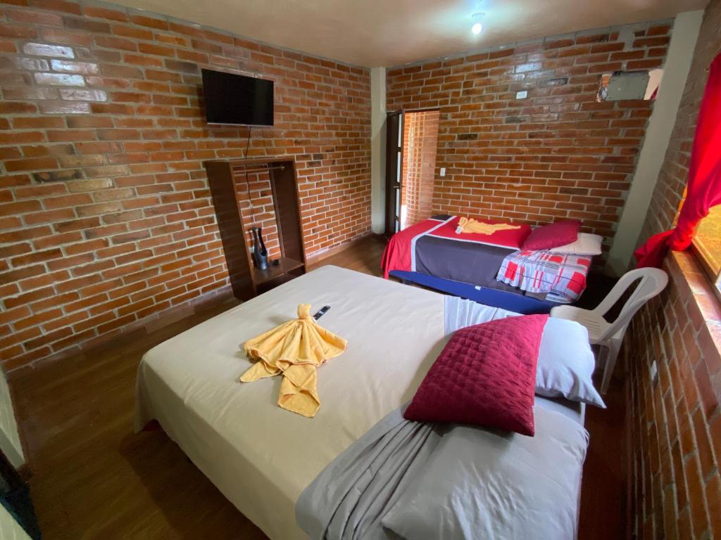 Cabaña Colibrís - 3