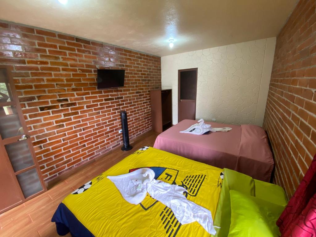 Cabaña Colibrís - 4