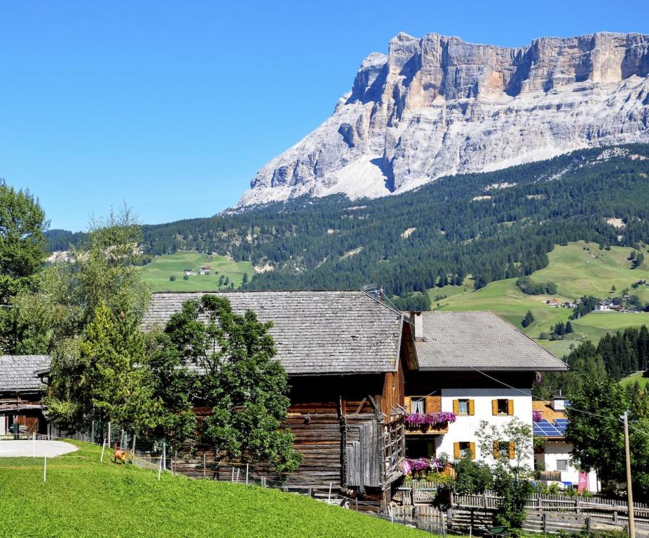 Chalet Funtanacia - 2