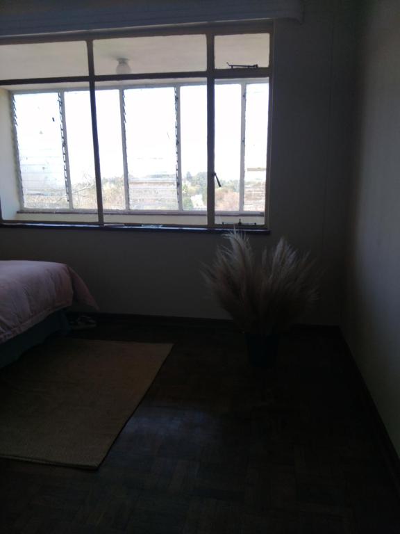 Fibbi's Place, Roodepoort