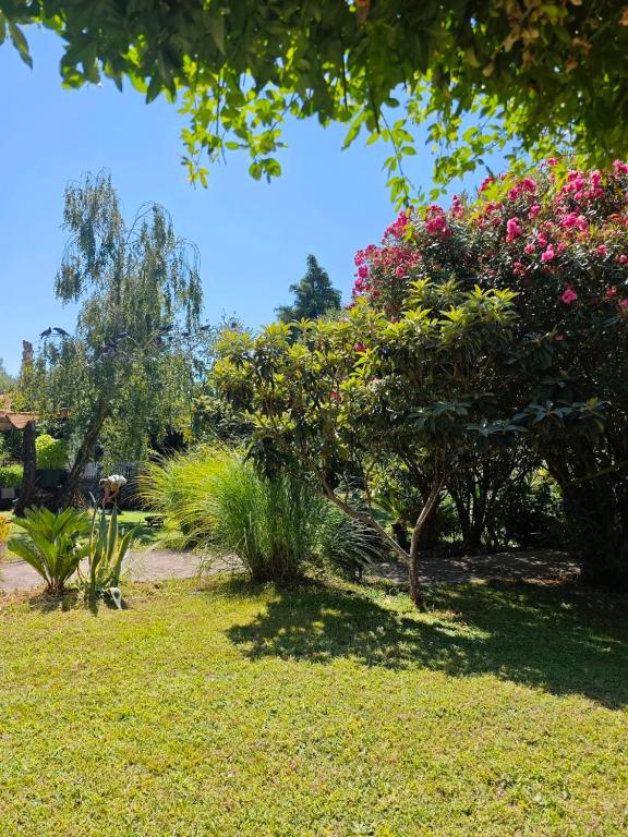 Mirta Apartment - 5