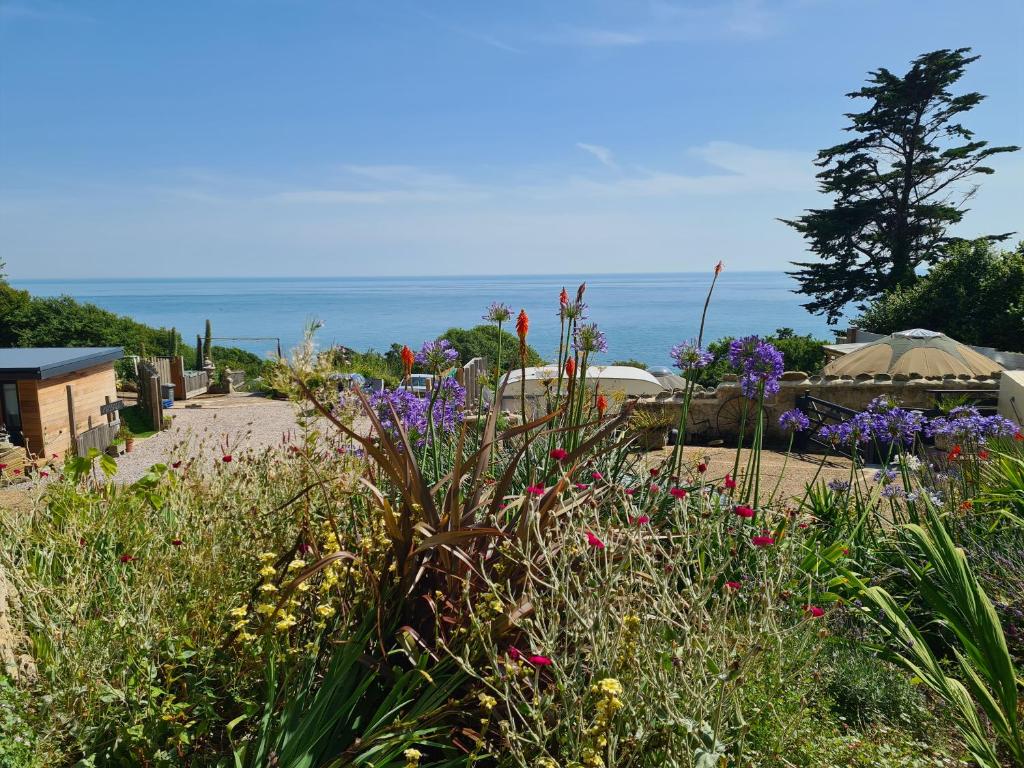 Puckaster Cove Cabin, Niton