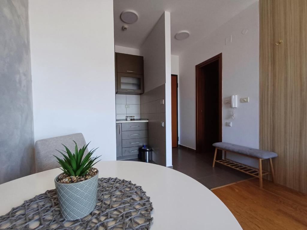 Apartman City kvart pg - 2