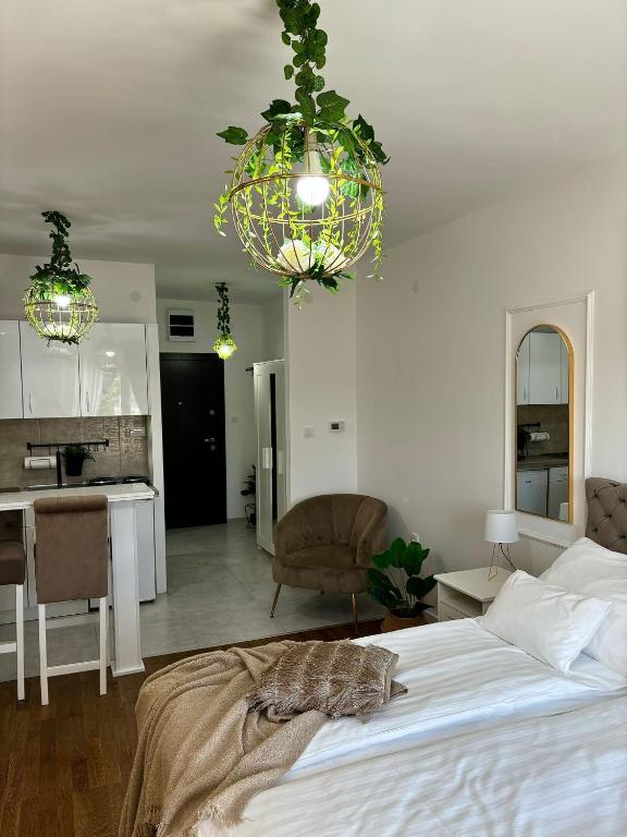 Apartman Vanila Lux Kragujevac - 5