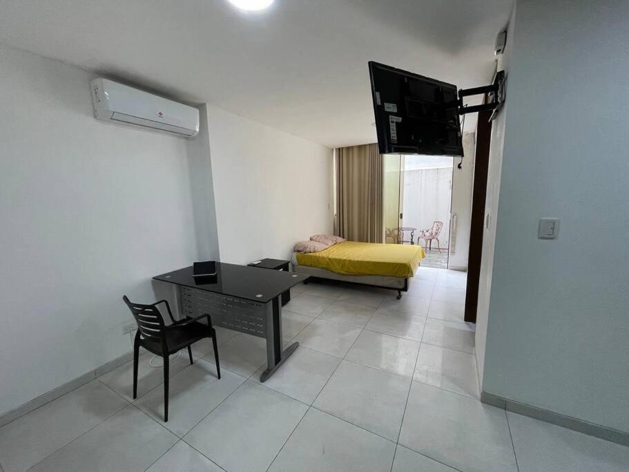 Vive Santa Cruz desde las Palmas - 5