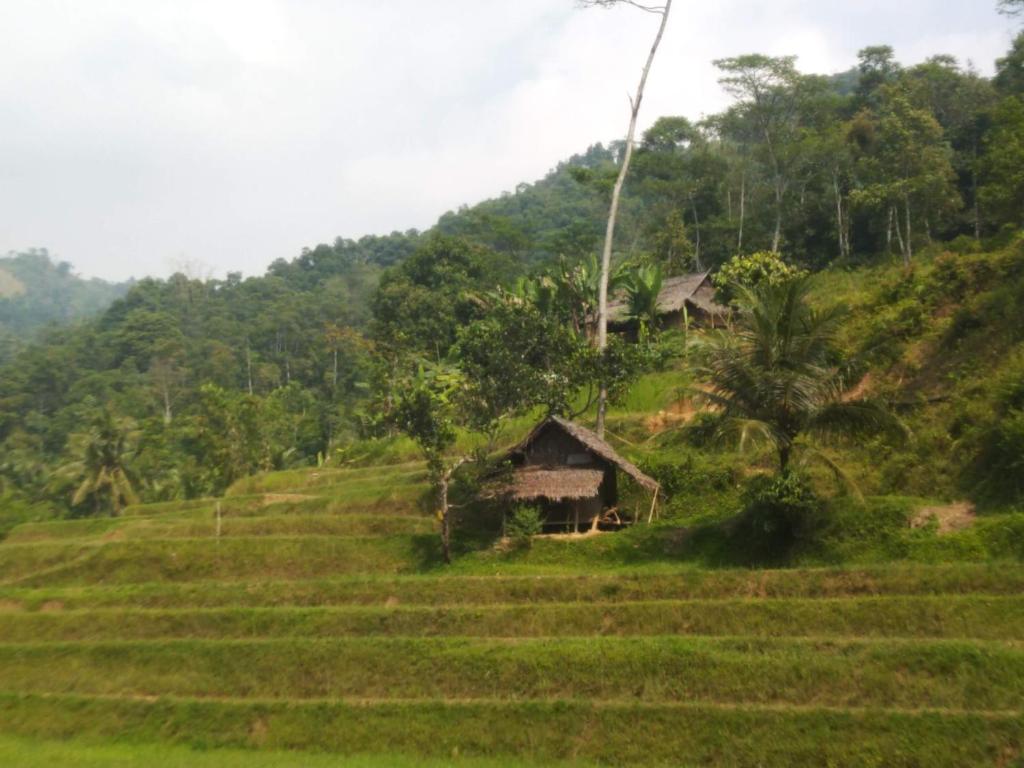 RMH88 Stationery Store, Babakan Satu