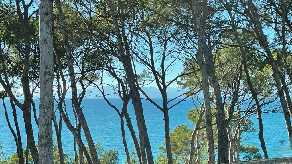 Cap Salou Mar - 3