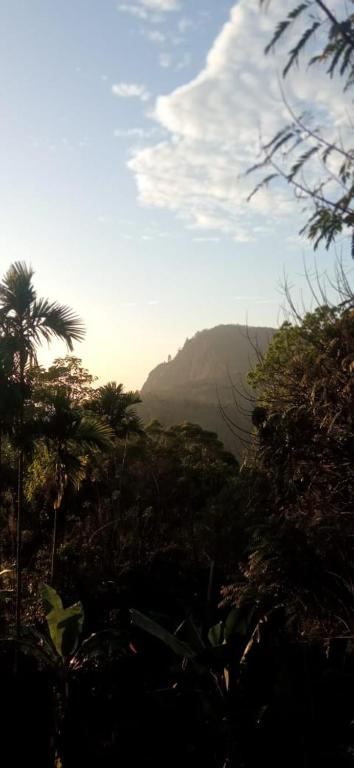 Cloudy Dregs inn ella, Ella