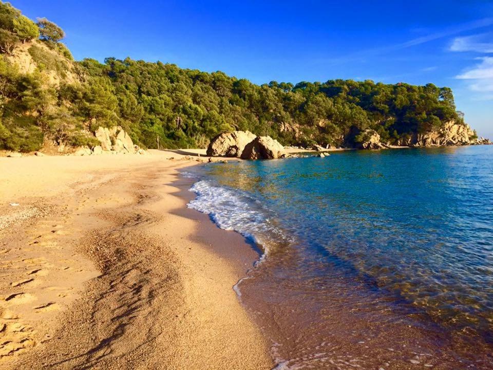 Private Apartments Cala Canyelles - 1