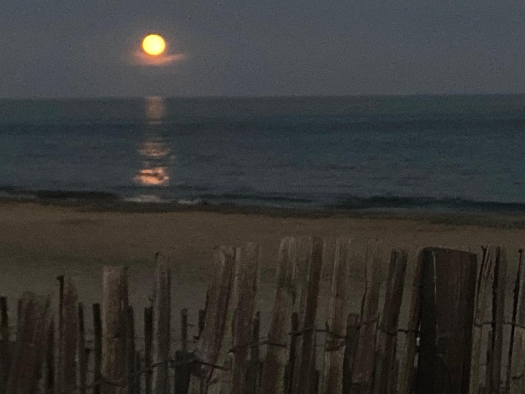 Mas de la Plage - 2