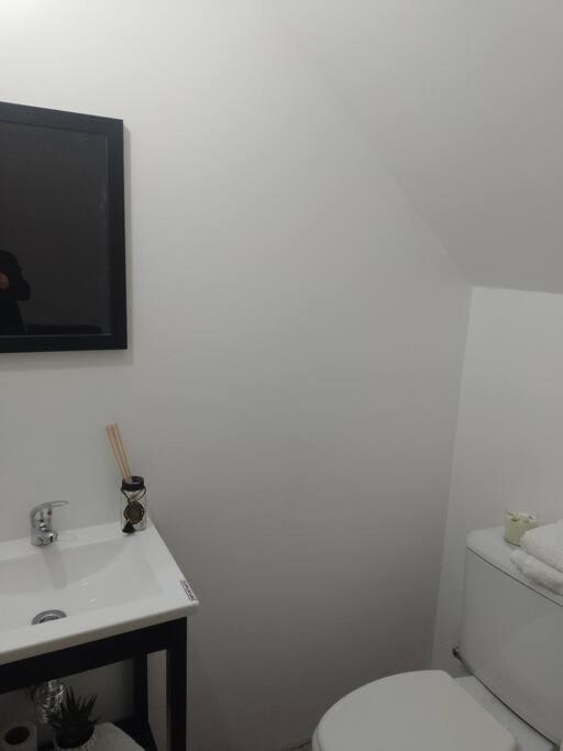 Excelente depto muy luminoso - 4