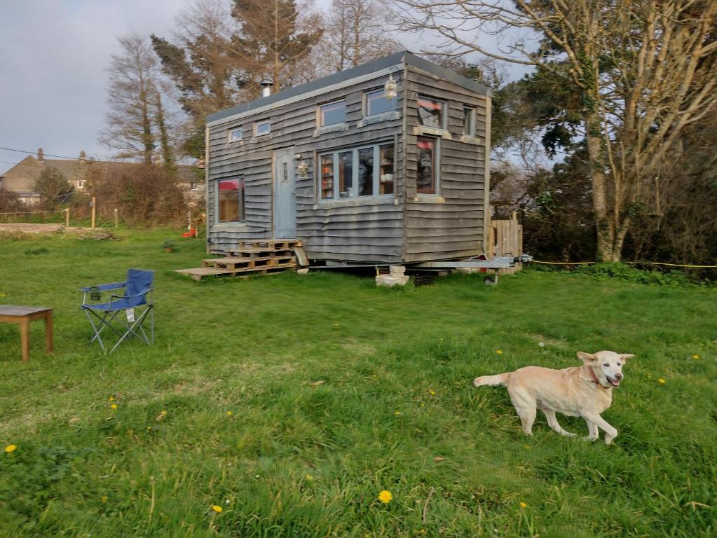 Tiny House Glamping, sleeps up to 6, Gweek