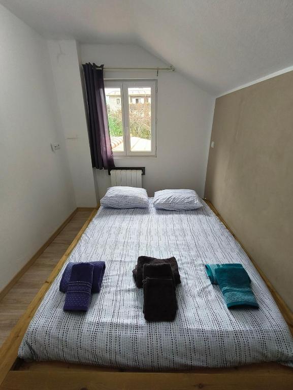 Cosy F2 - 3