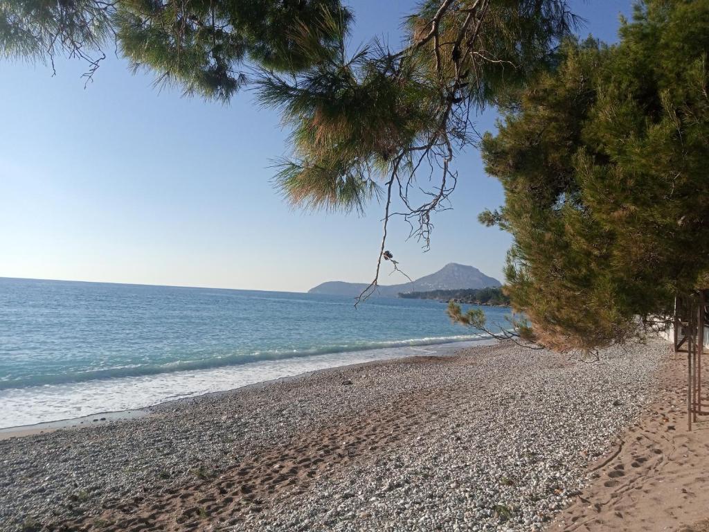 гостевой дом Polina2, Gornji Sušanj