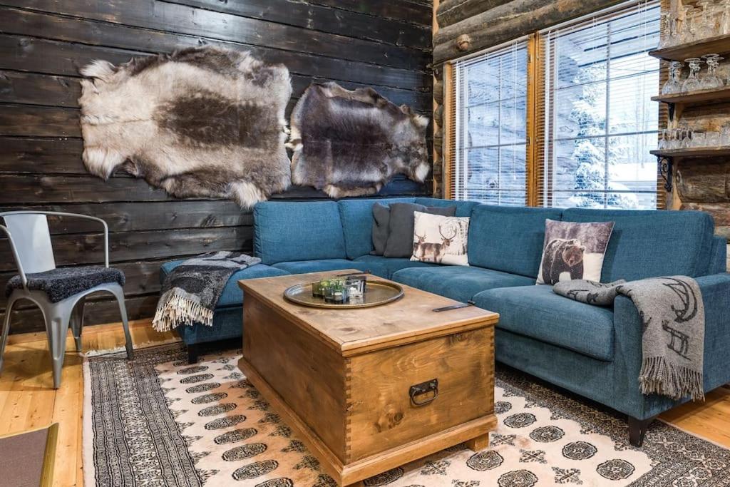 Bear Cub - Ruka Slopes, ski, hiking, Kuusamo