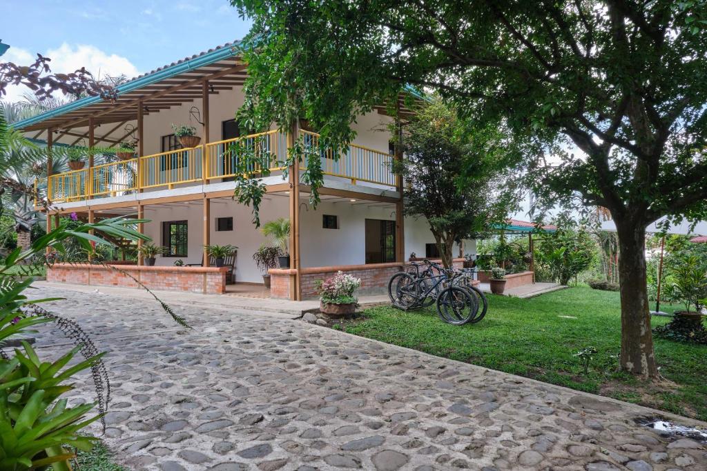 San Jose Coffee farm - 1