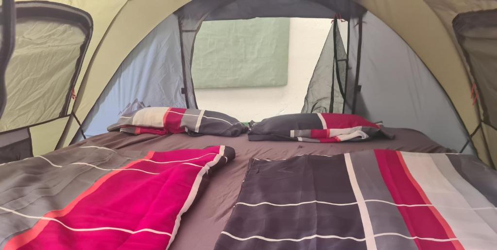 INDOOR Camping Sportzentrum Zeltweg - 3